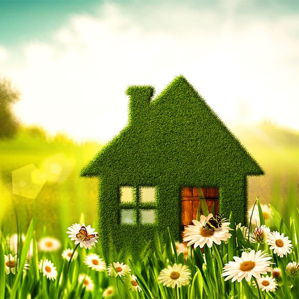 pest-control-california Pest control in california